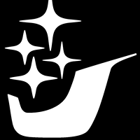 Southern Stars logo